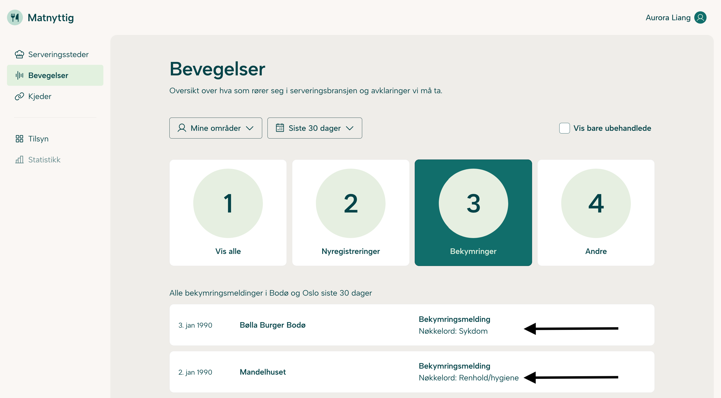 Mitt serveringssted med syntetiske data